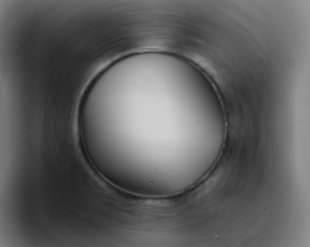 X0000096721469200802191518