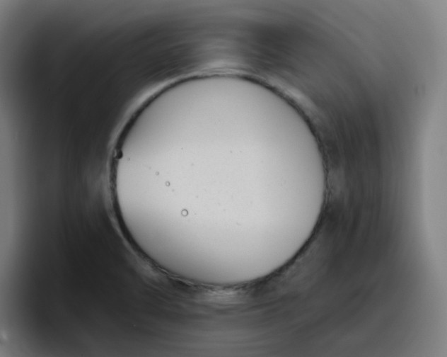 X0000096721470200802191518