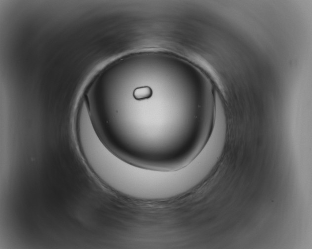 X0000096721472200802191518