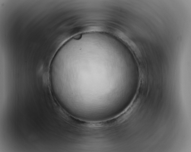 X0000096721473200802191518