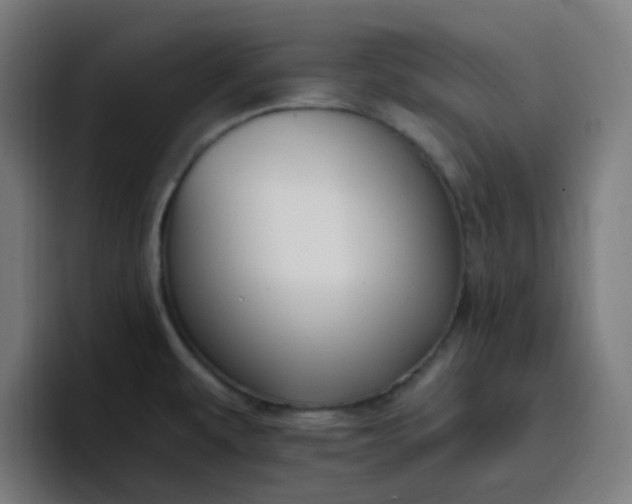 X0000096721479200802191518