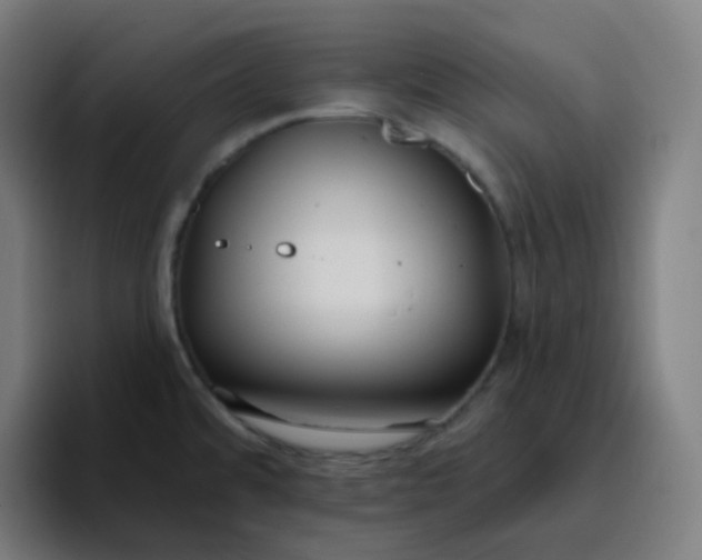 X0000096721480200802191518