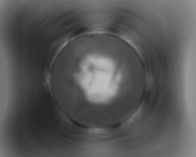 X0000096721481200802191518