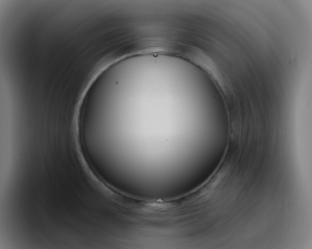 X0000096721483200802191518