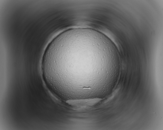 X0000096721485200802191518