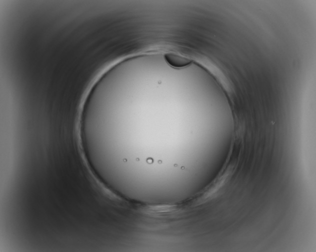 X0000096721486200802191518