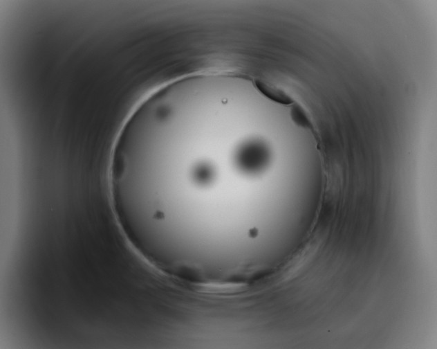 X0000096721487200802191518