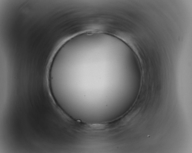 X0000096721488200802191518