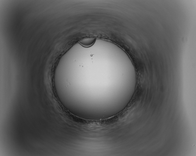 X0000096721489200802191517