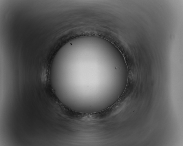 X0000096721490200802191518