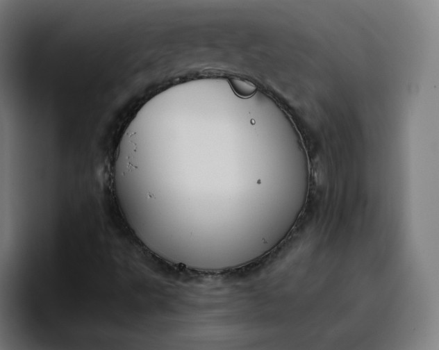 X0000096721495200802191518