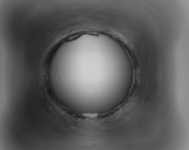 X0000096721496200802191518