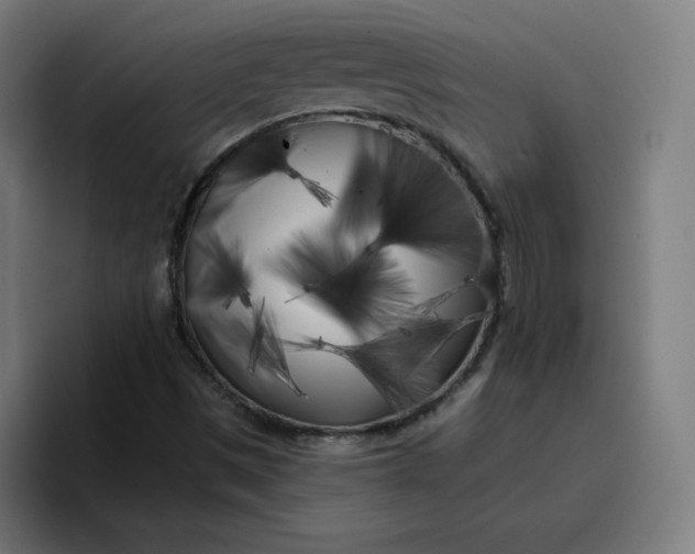 X0000096721497200802191518