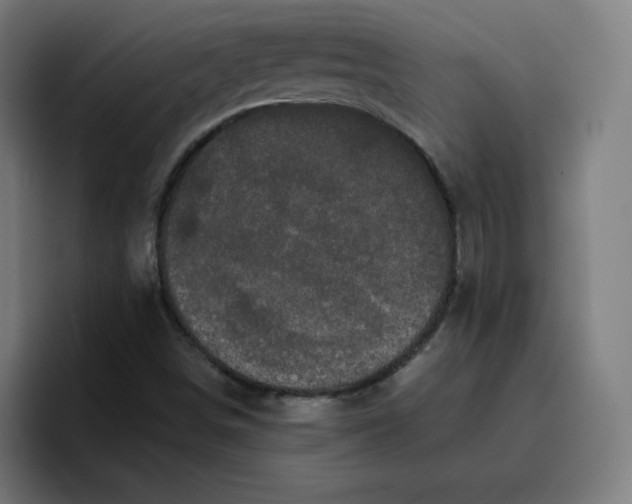 X0000096721498200802191518