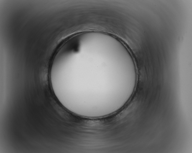 X0000096721499200802191518