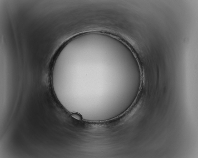 X0000096721501200802191518