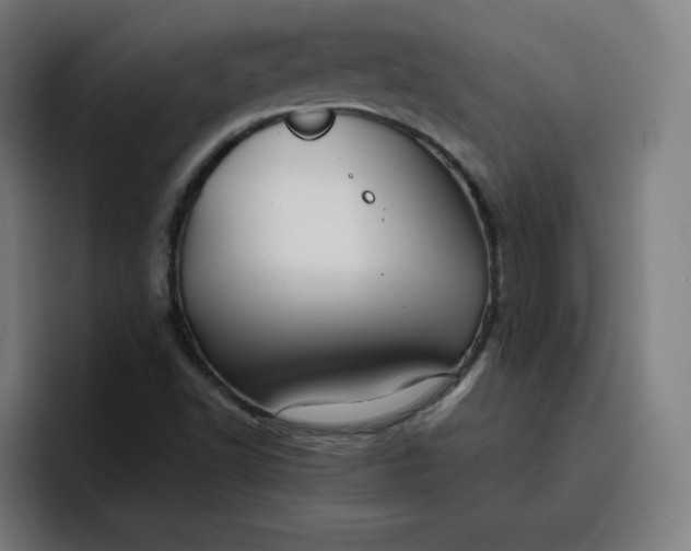 X0000096721502200802191518