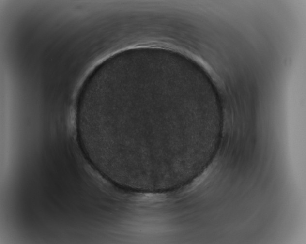 X0000096721506200802191518