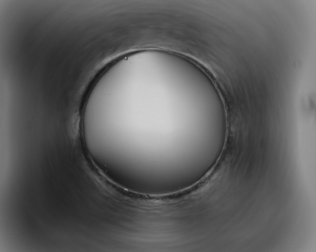 X0000096721507200802191518