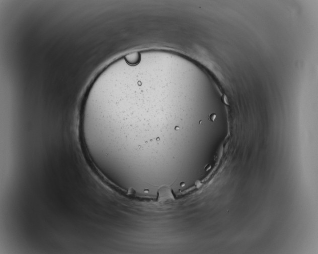 X0000096721508200802191518