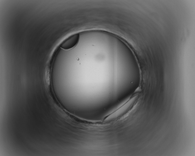 X0000096721510200802191518