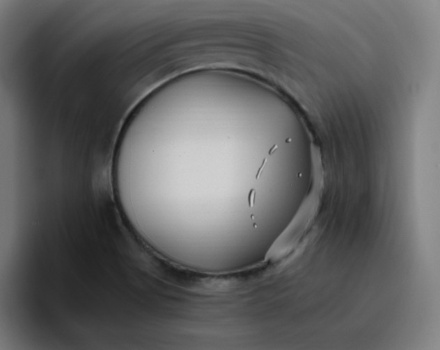 X0000096721513200802191518