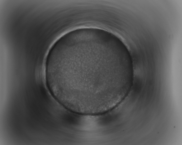 X0000096721514200802191518