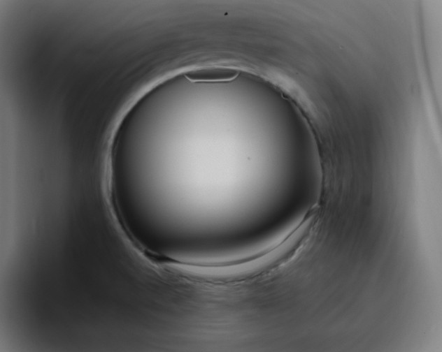 X0000096721520200802191518