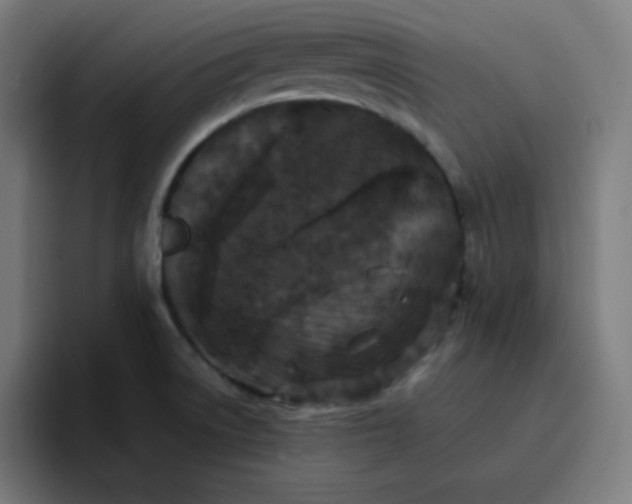 X0000096721522200802191518