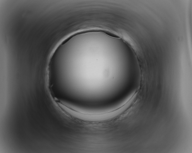 X0000096721524200802191518