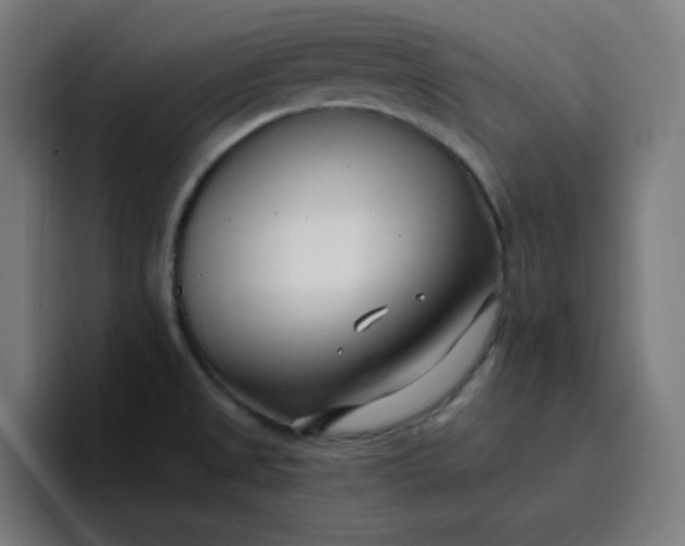 X0000096721525200802191518