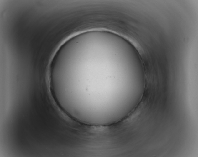 X0000096721526200802191518