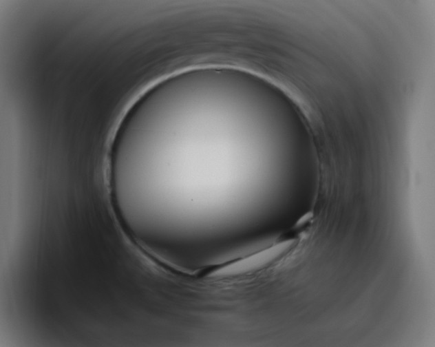 X0000096721527200802191518