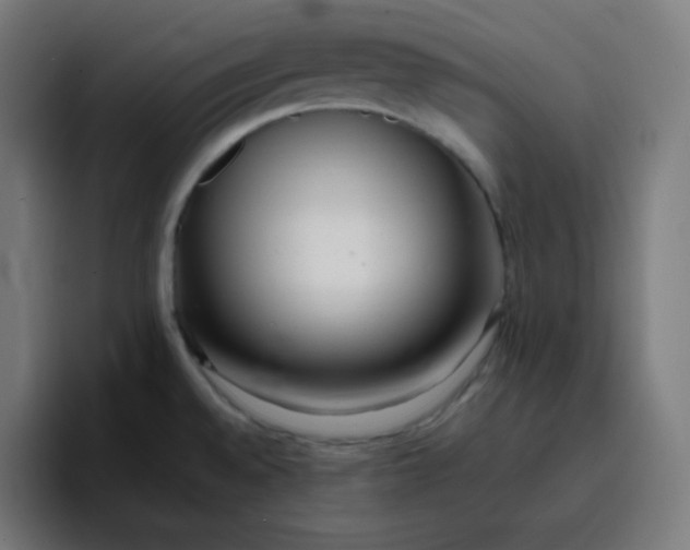 X0000096721528200802191518