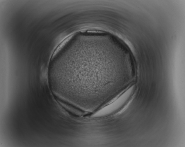 X0000096721529200802191518