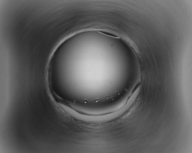 X0000096721530200802191518