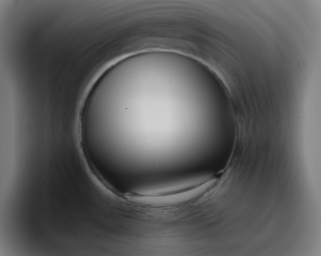 X0000096721531200802191518