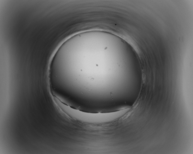 X0000096721532200802191518