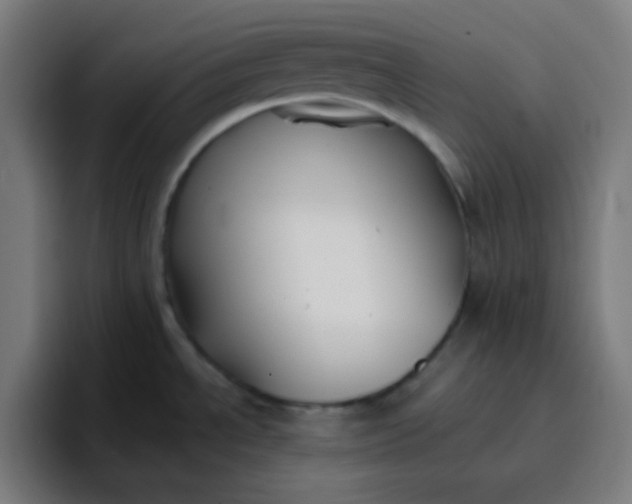 X0000096721534200802191518