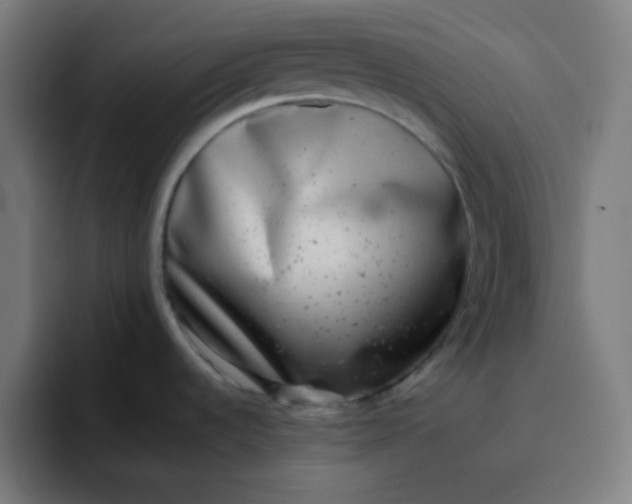 X0000096721536200802191518