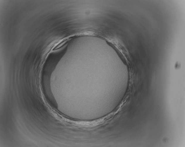 X0000096720001200802261705