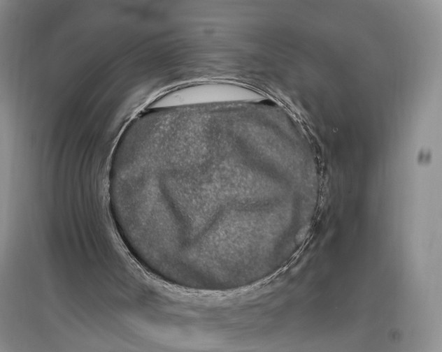 X0000096720002200802261705