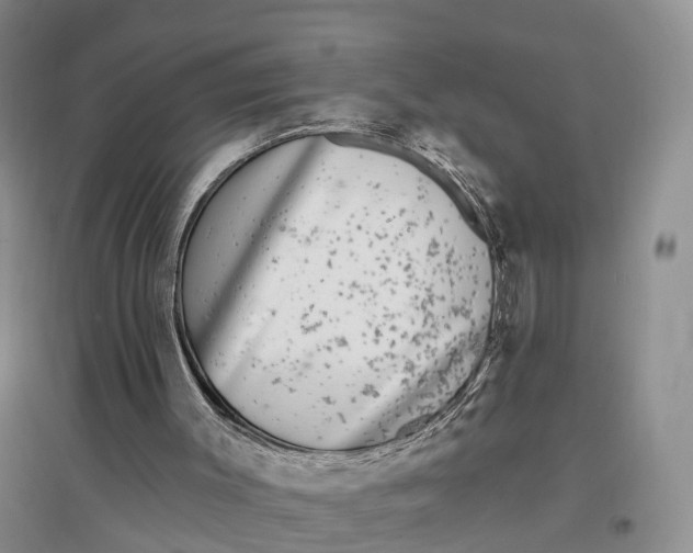 X0000096720003200802261705