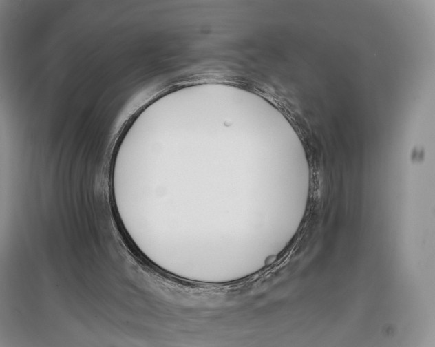 X0000096720004200802261705