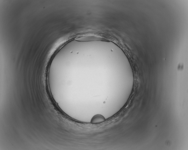 X0000096720006200802261705