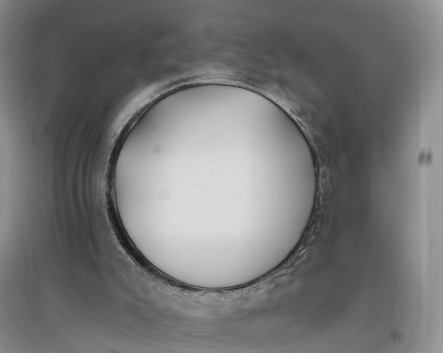 X0000096720007200802261705