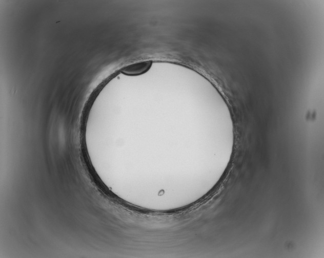 X0000096720008200802261705