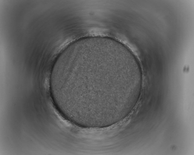 X0000096720009200802261705