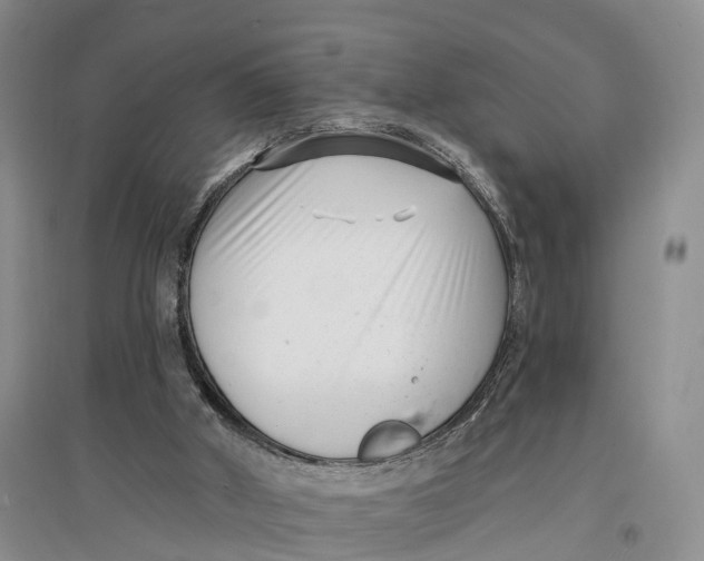 X0000096720010200802261705