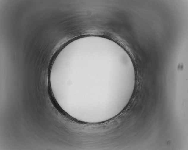 X0000096720011200802261705